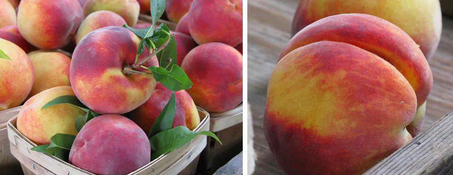 peaches in baskets at the farmers market