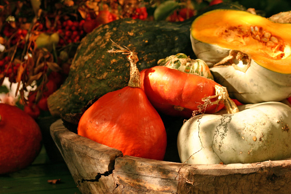 Thanksgiving bounty- multiple fall squash in a large wooden bowl
