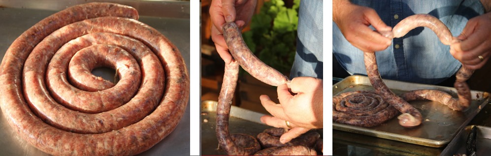 spiral length of fresh made sausage and twisting into links