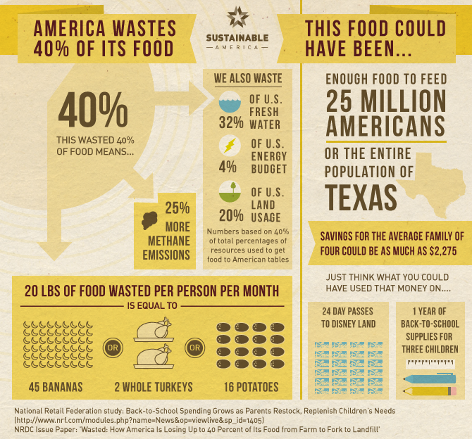 America Wastes 40% of its Food infographic