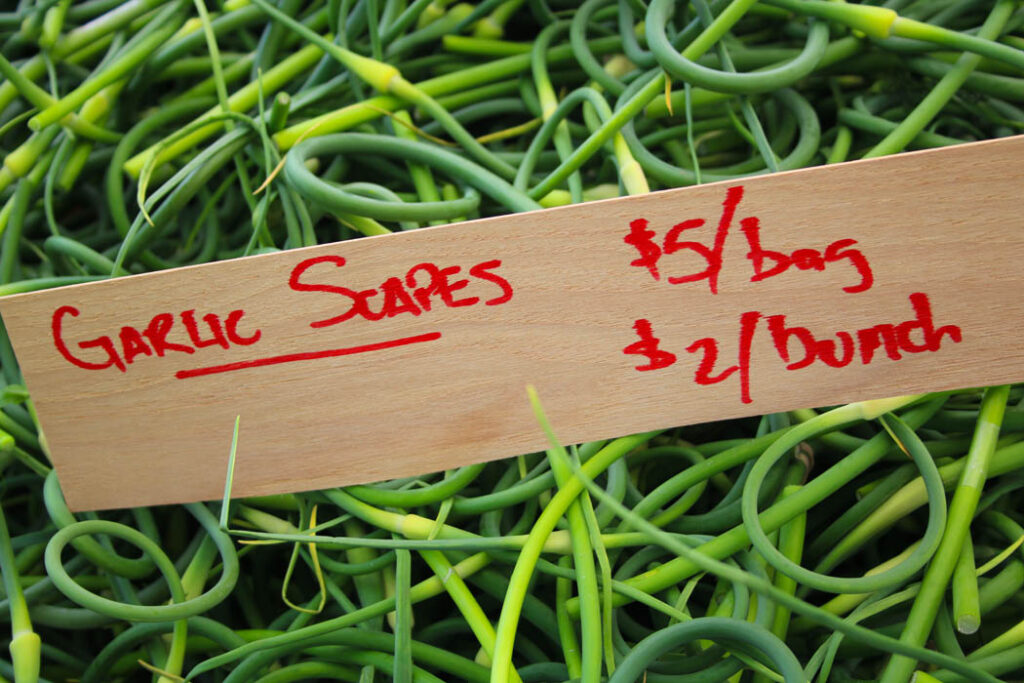 Tangled Pile of Garlic Scape with a sign:  bag and  bunch