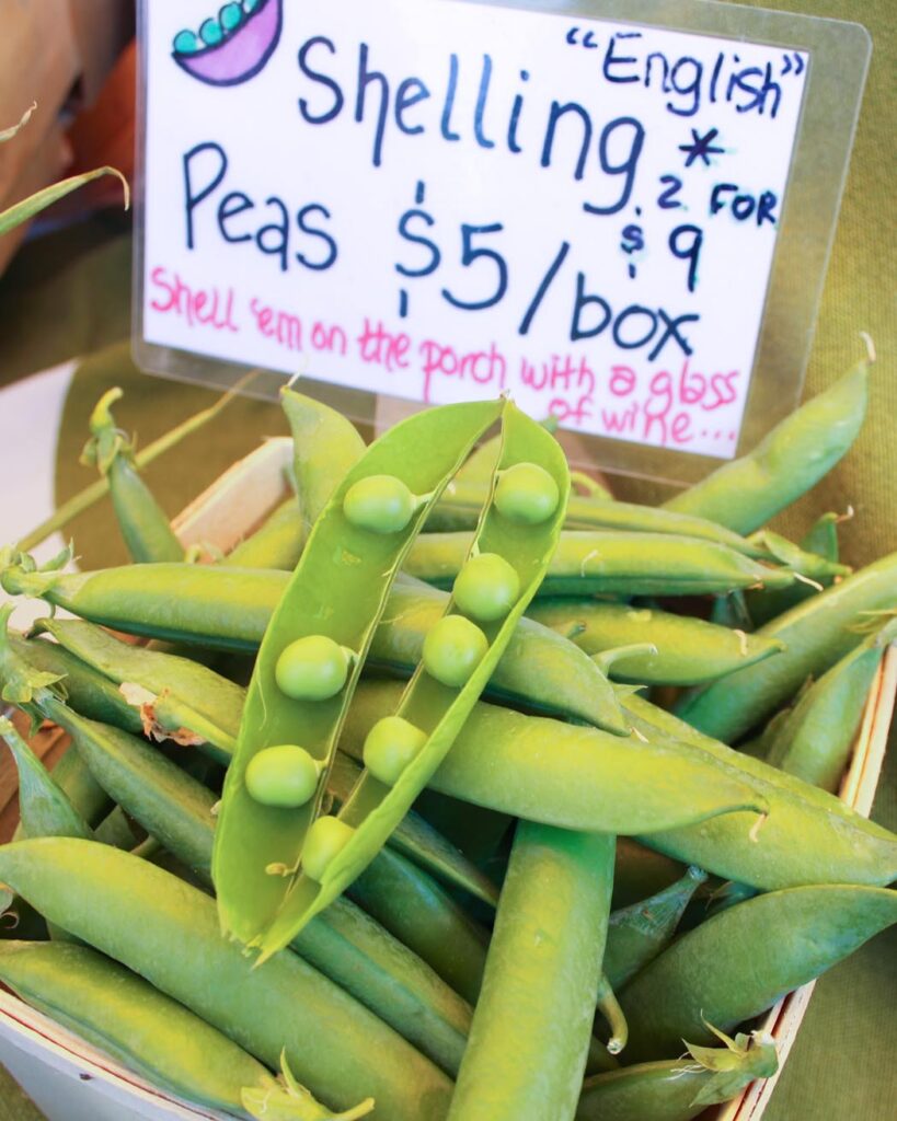 Shell Peas at the market: sign \"shell em on the porch with a glass of wine\"