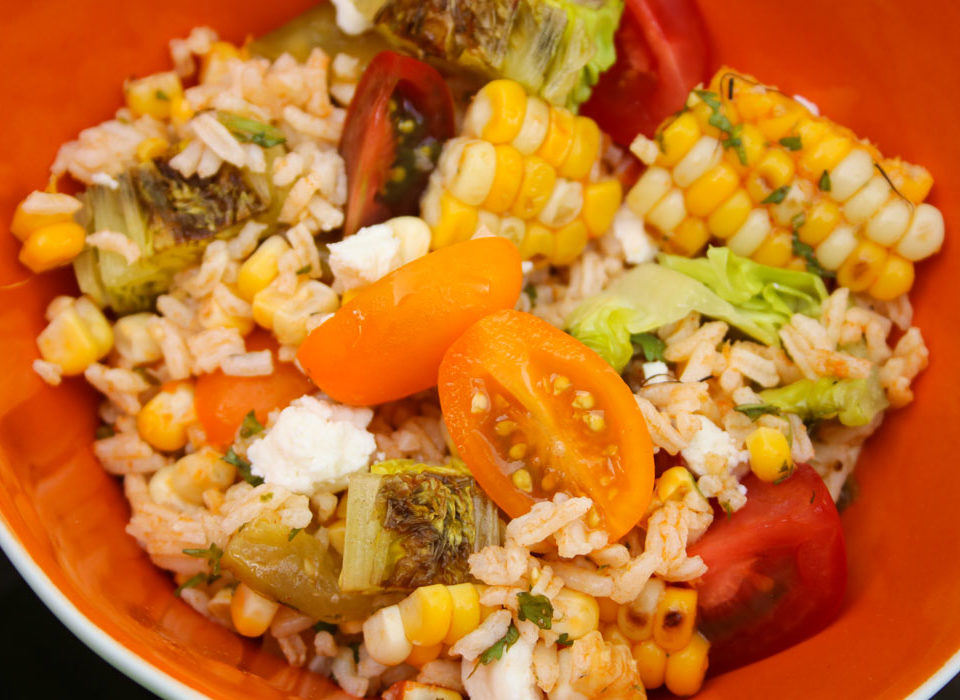 rice, grilled veggie, salad