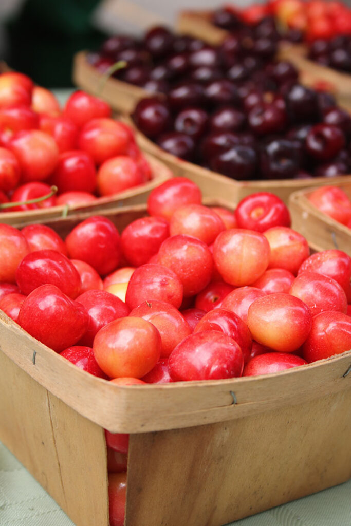 Sweet and Tart Cherries in wooden baskets at the market