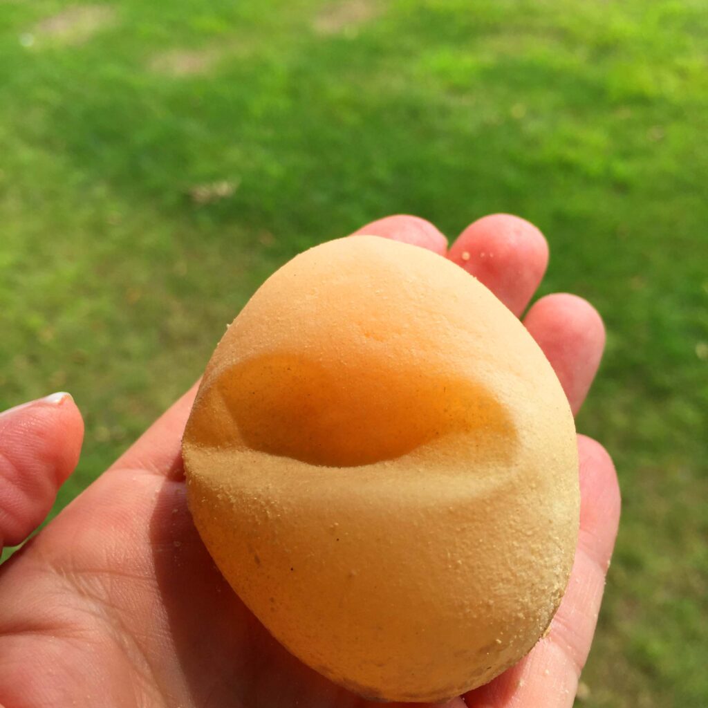 Jelly egg, laid without a shell