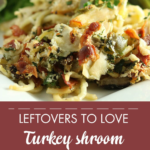 Photo of turkey tetrazzini with a salad and Leftovers to Love banner