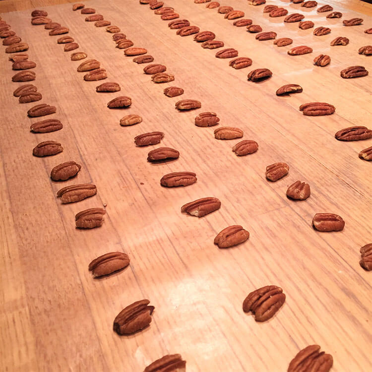 Pecans in Waiting - lined on wax paper, ready for the hot toffee ribbon to be poured
