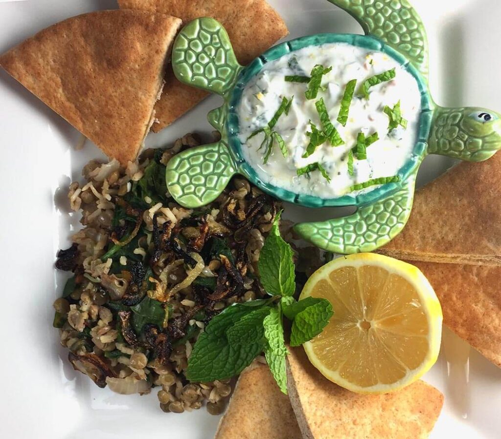 Overhead shot of mujadara with pita, a turtle shaped bowl with yogurt dip, lemon and fresh mint