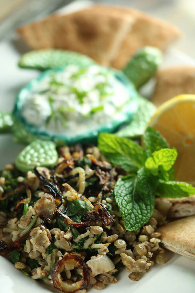 Spiced Lentils and Rice - Mujadara with mint, pita, lemons and yogurt dip