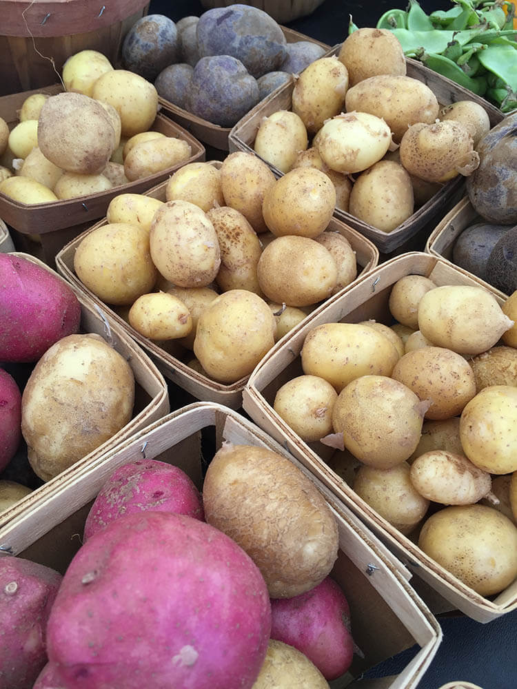 Farm Fresh New Potatoes at the market - red, white, purple