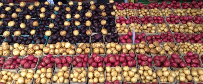 Red, White & Blue american flag of new potatoes