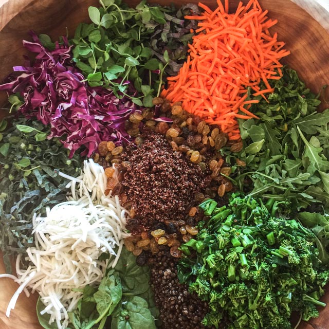 Composed Superfood Salad of daikon, cabbage, shredded carrots, microgreens, lentils, quinoa, kale, broccolini