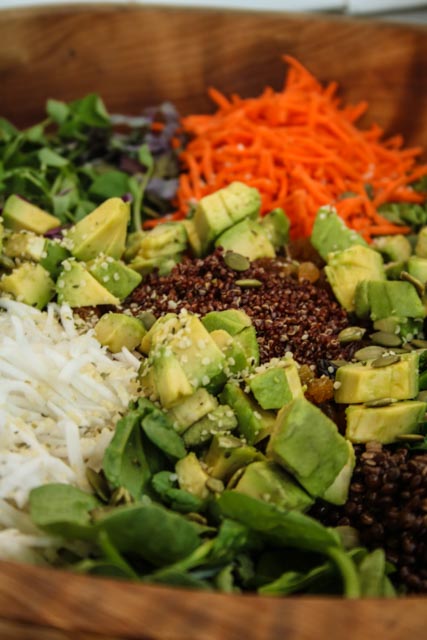 Assembling Superfood Salad; avocado, microgreens, shredded carrots, hemp hearts, caviar lentils