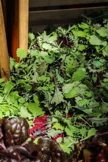 Market Greens, Baby Kale