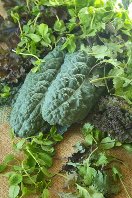 Power Greens Superfood: lacinato kale, curly kale, microgreens and herbs