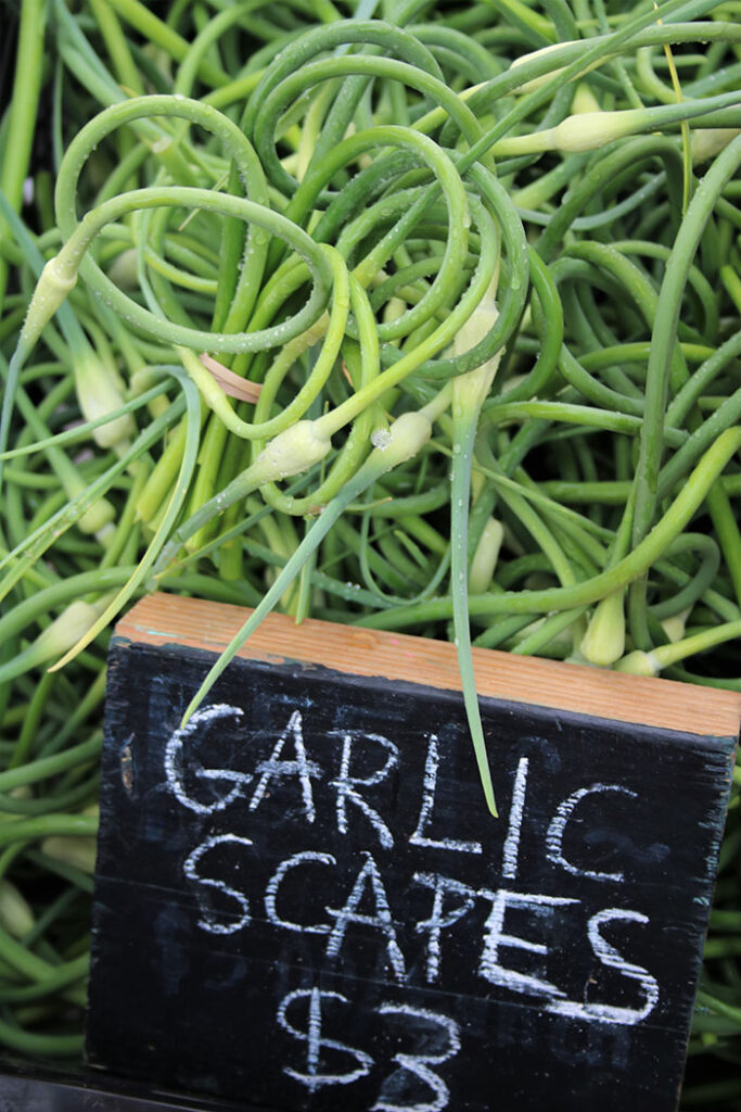 Garlic Scapes at the farmers market with chalkboard sign