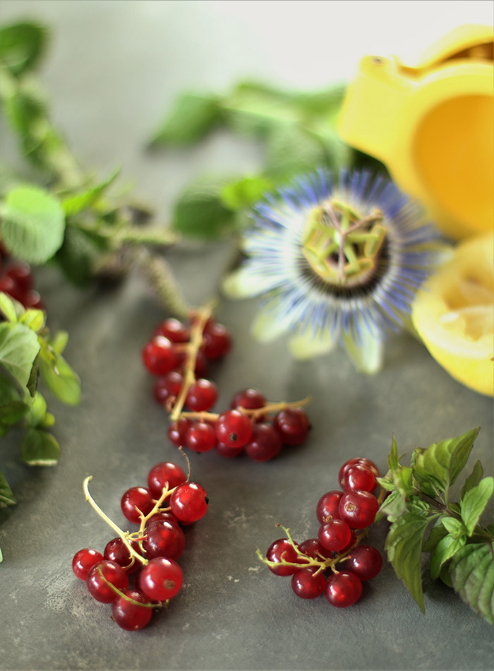 sprigs of red currants, passion vine flower, lemons and fresh mint