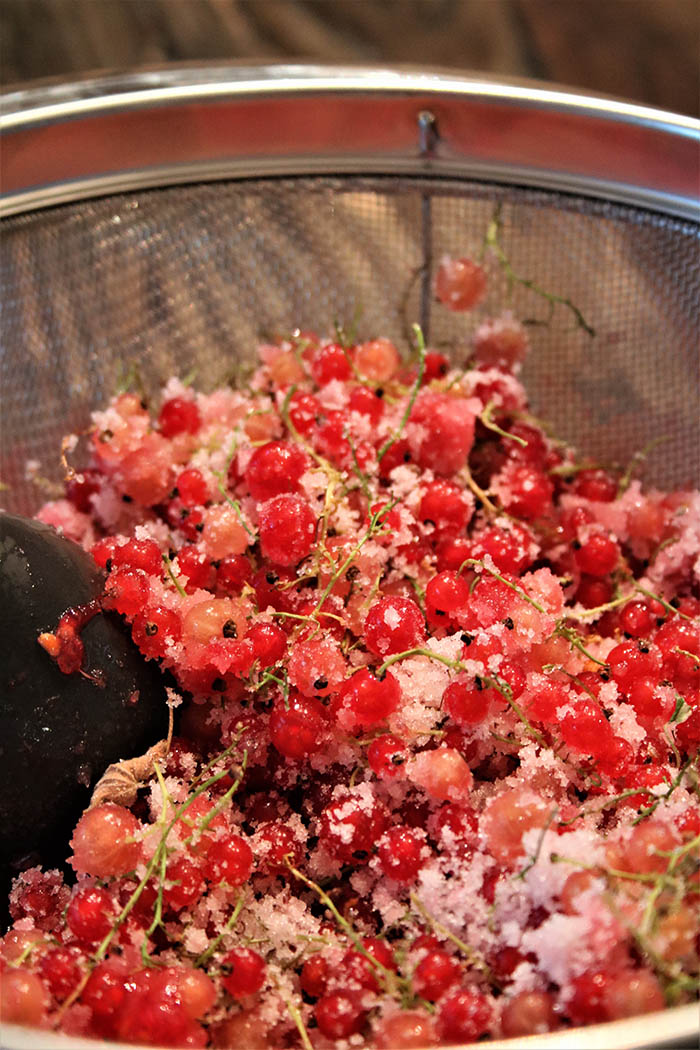 Macerating Red Currants with sugar in a strainer