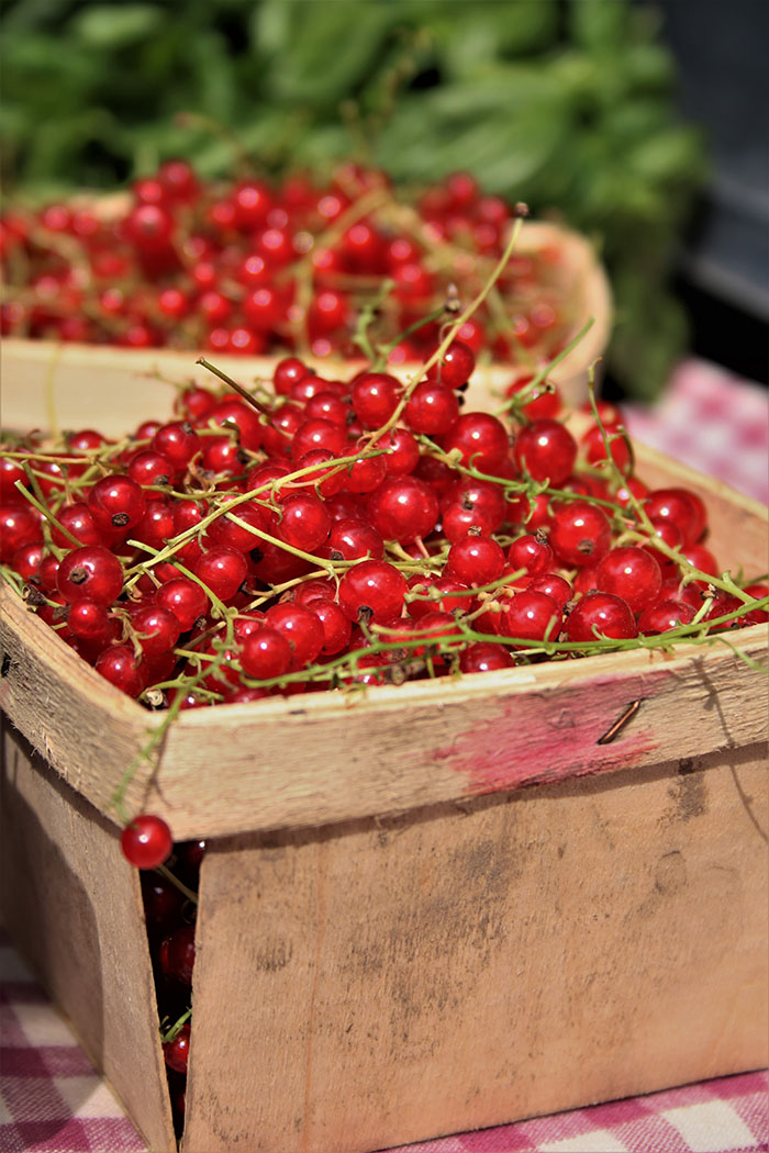 red currants at market