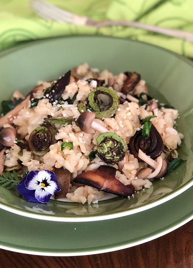 Wild Ramp Risotto Fiddlehead Fern, Ramps & Wild Mushroom Risotto - Katy Keck: Palate ...