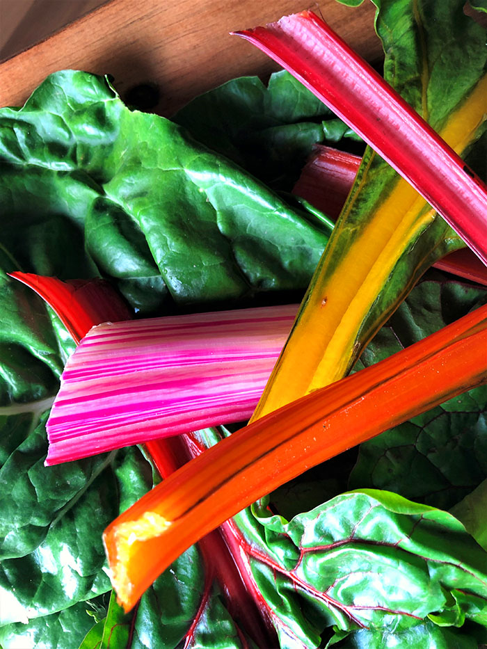 Chard in all the colors of the rainbow