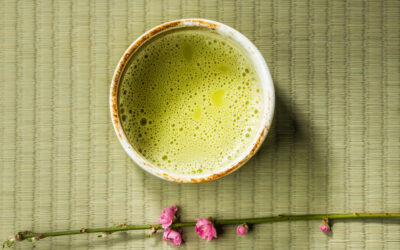 Celebrating Chanoyu: A Japanese Tea Ceremony at Meijer Gardens